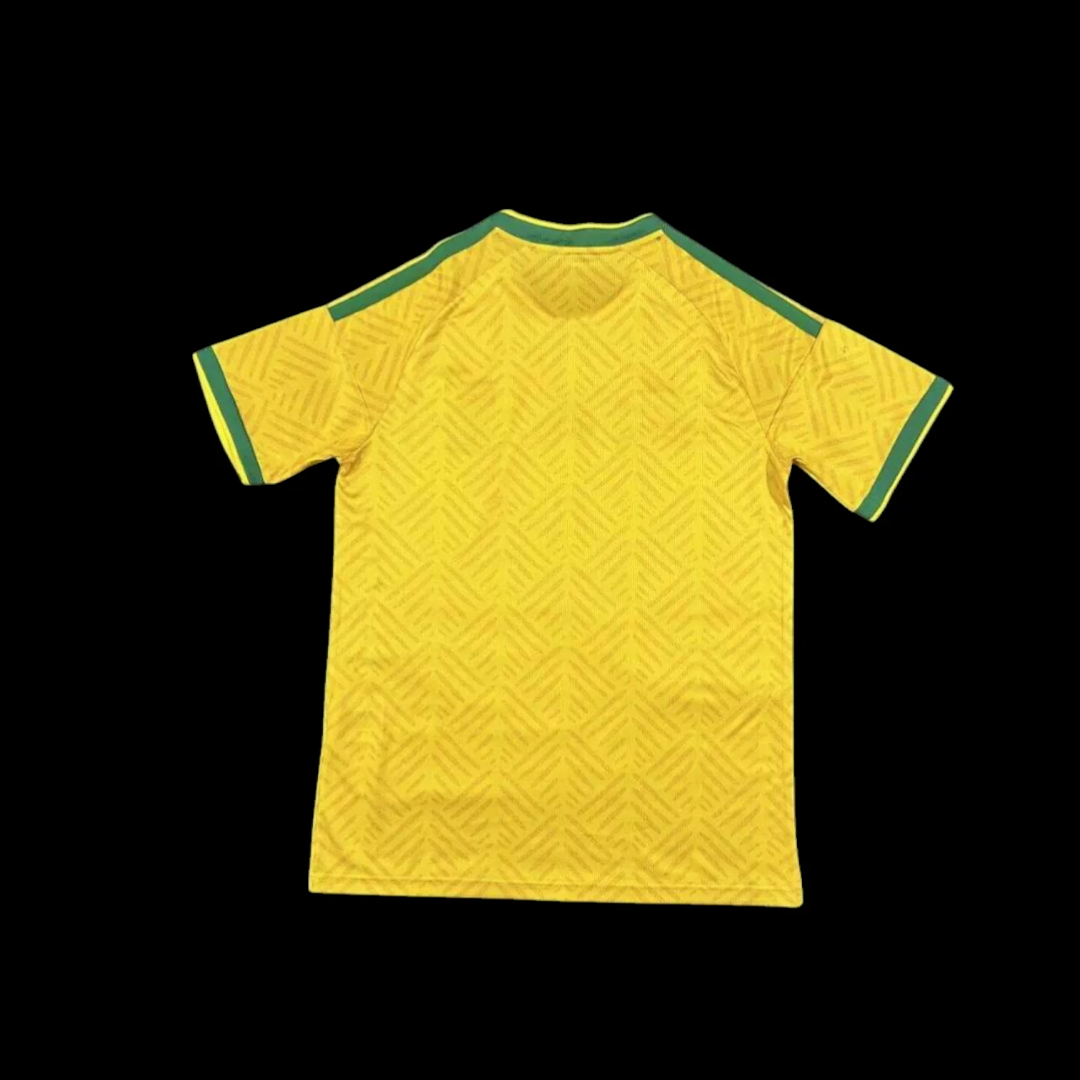 Vue arrière Afrique du sud Maillot Domicile 2627
